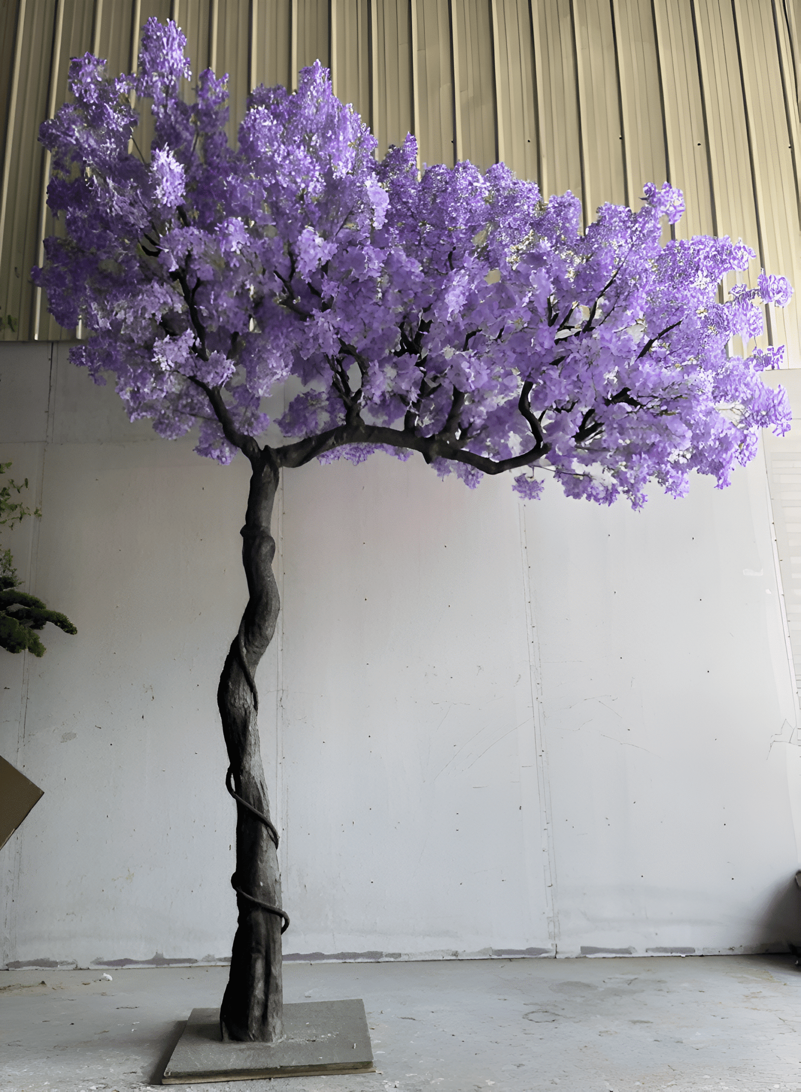 B10-Picsart-AiImageEnhancer-Picsart-AiImageEnhancer