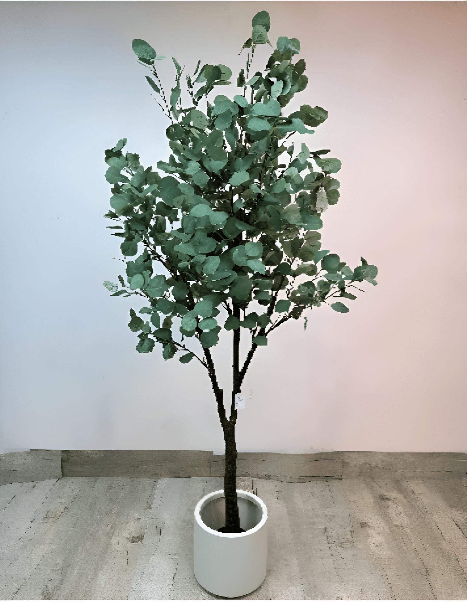 B11-Picsart-AiImageEnhancer-Picsart-AiImageEnhancer