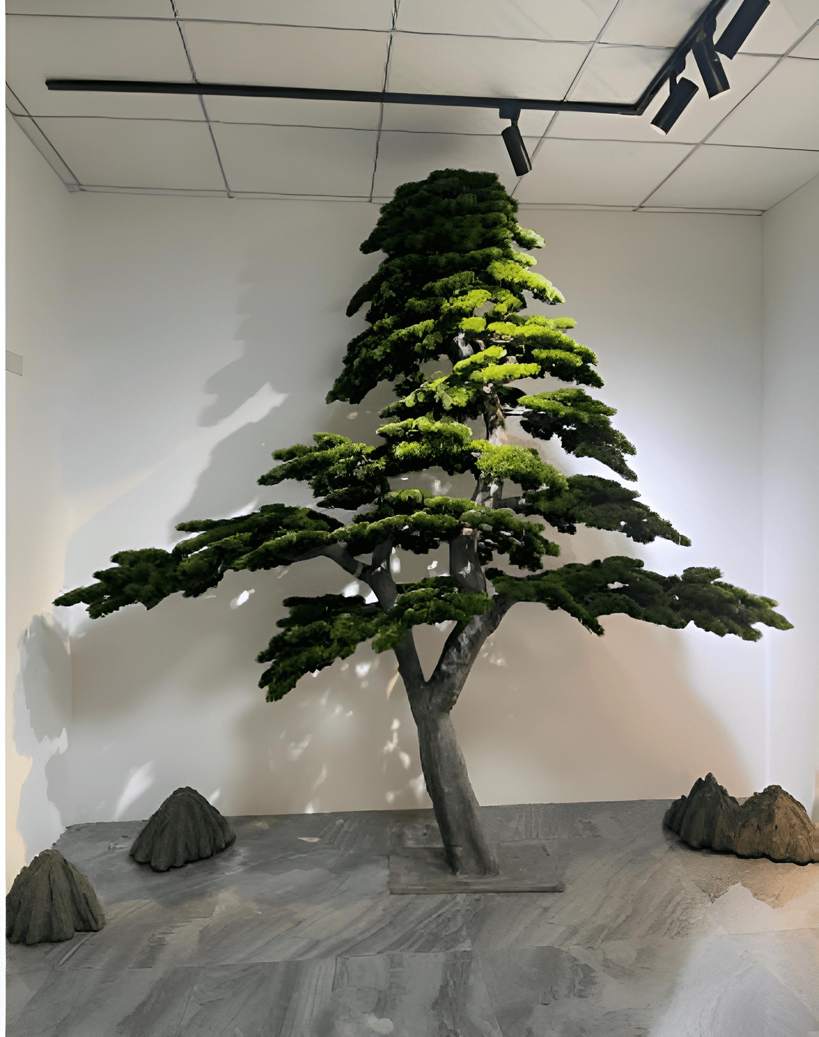 B2-Picsart-AiImageEnhancer-Picsart-AiImageEnhancer