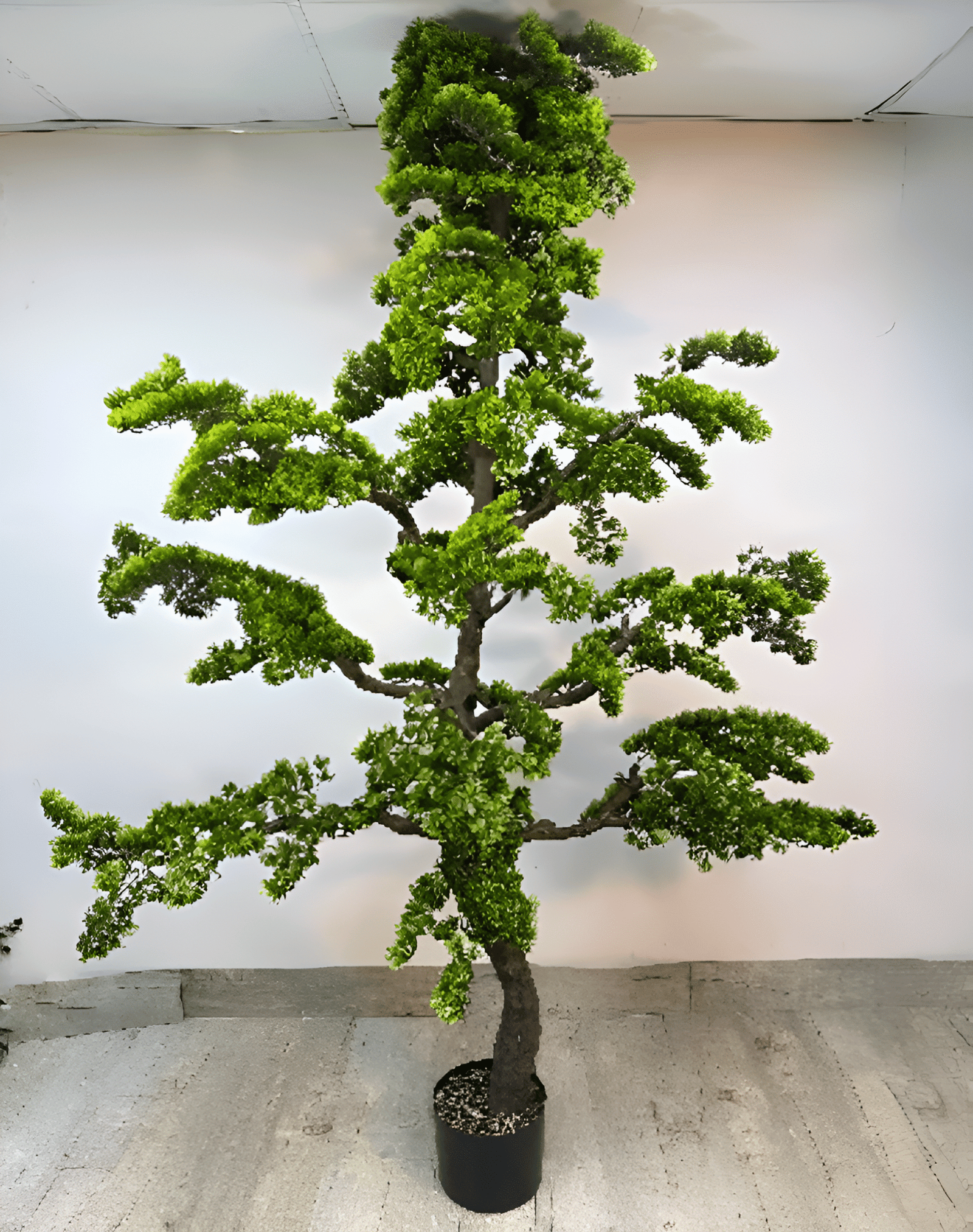 B4-Picsart-AiImageEnhancer-Picsart-AiImageEnhancer