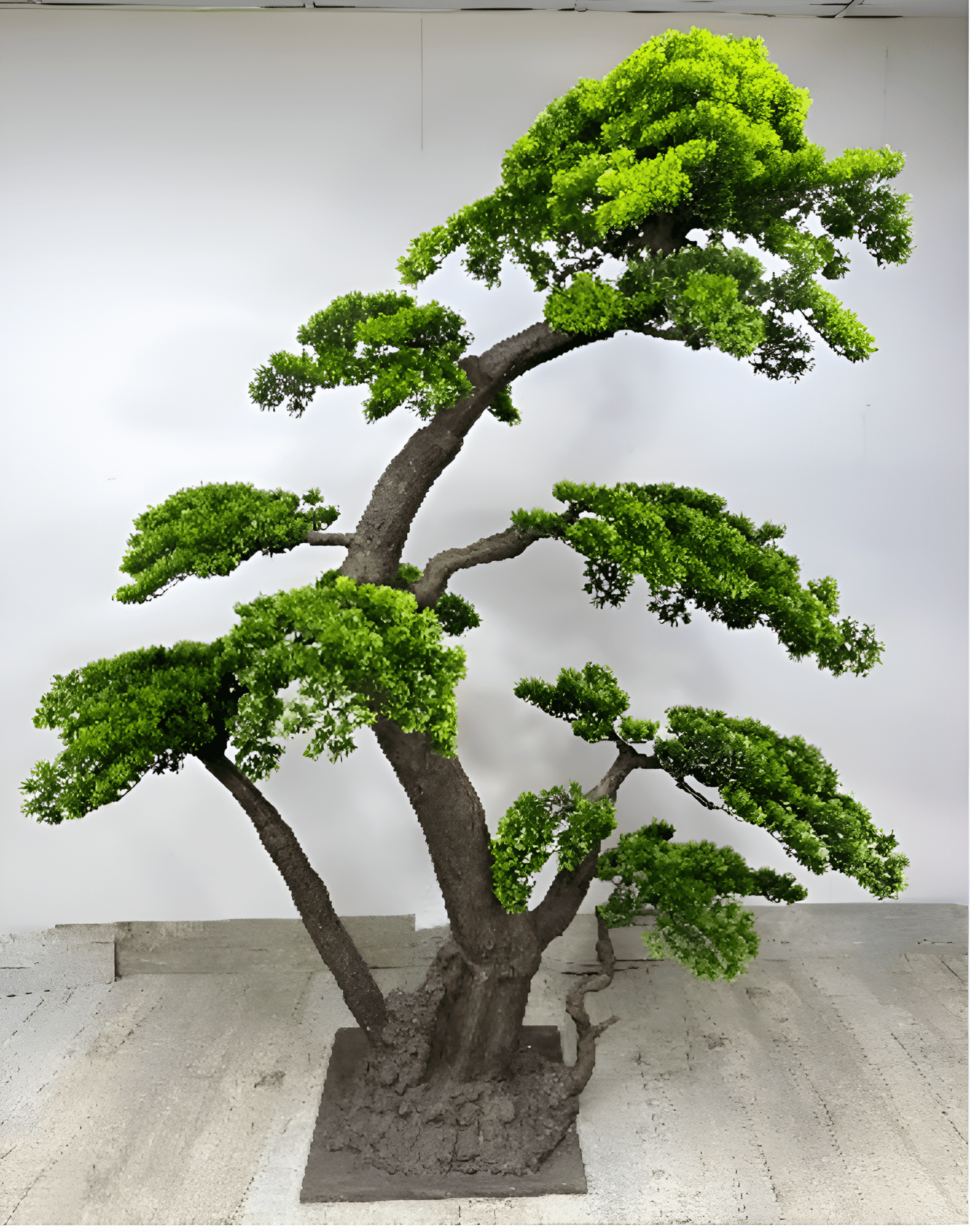 B6-Picsart-AiImageEnhancer-Picsart-AiImageEnhancer