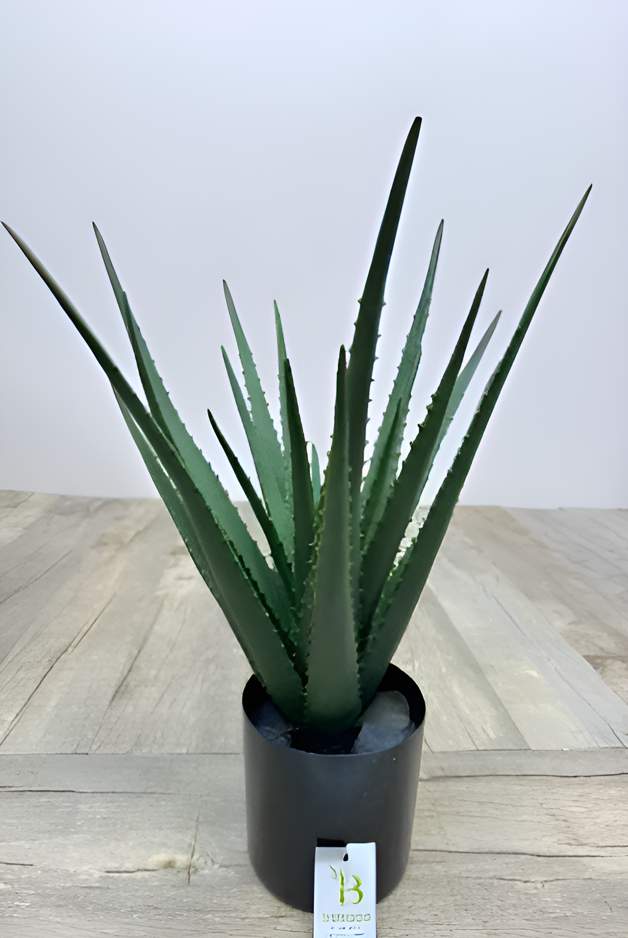 T17-Picsart-AiImageEnhancer-Picsart-AiImageEnhancer